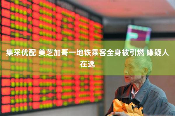 集采优配 美芝加哥一地铁乘客全身被引燃 嫌疑人在逃