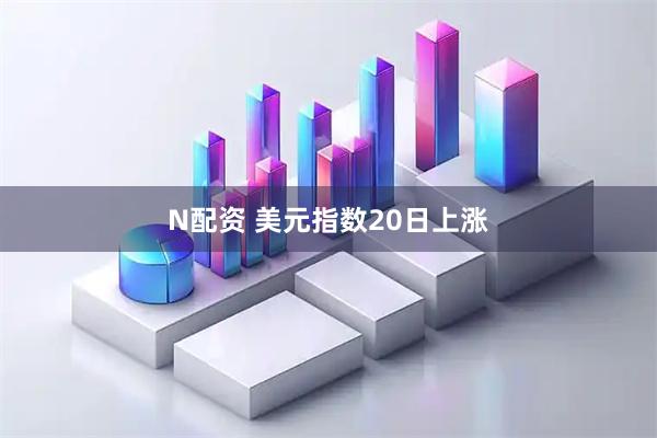 N配资 美元指数20日上涨