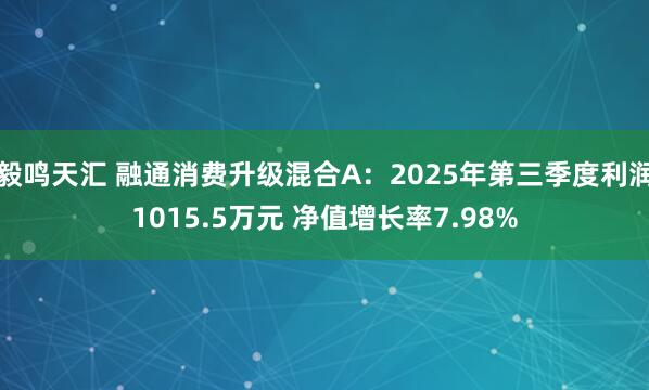 毅鸣天汇 融通消费升级混合A：2025年第三季度利润1015.5万元 净值增长率7.98%