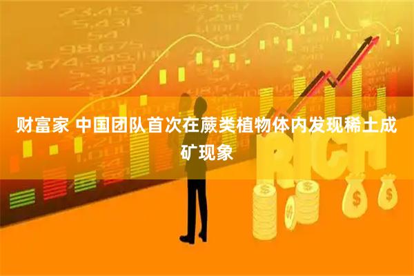 财富家 中国团队首次在蕨类植物体内发现稀土成矿现象