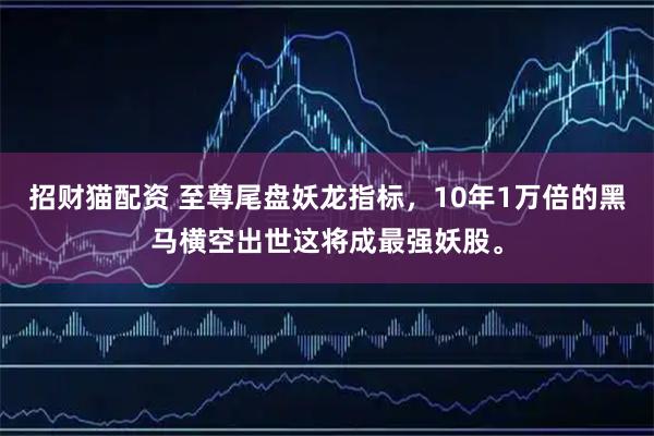 招财猫配资 至尊尾盘妖龙指标，10年1万倍的黑马横空出世这将成最强妖股。