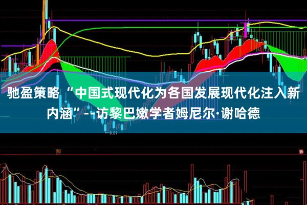 驰盈策略 “中国式现代化为各国发展现代化注入新内涵”--访黎巴嫩学者姆尼尔·谢哈德