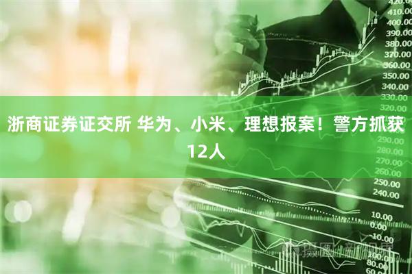 浙商证券证交所 华为、小米、理想报案！警方抓获12人