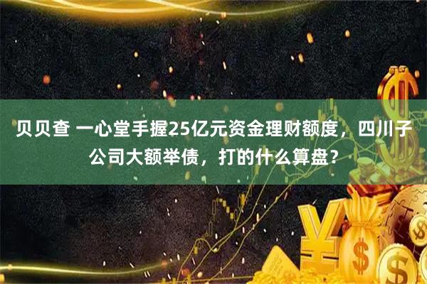 贝贝查 一心堂手握25亿元资金理财额度，四川子公司大额举债，打的什么算盘？